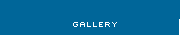 The Gallery