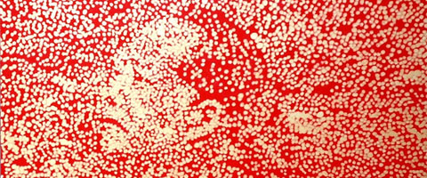 A Point in Red