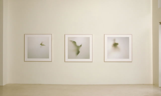 Exhibition
