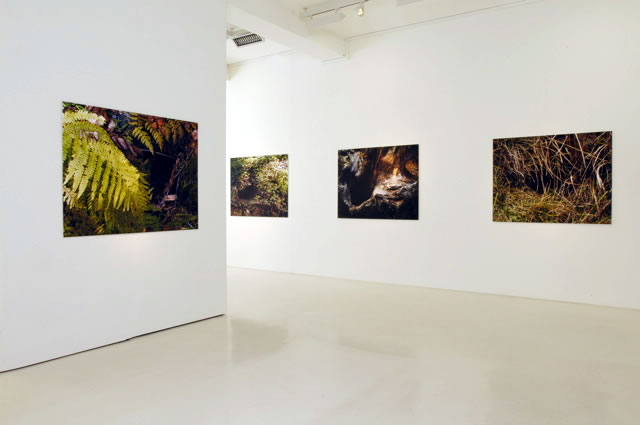 Exhibition