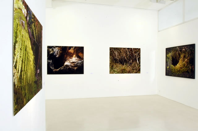 Exhibition