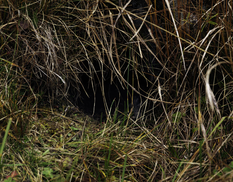 Rabbit Holes 003
