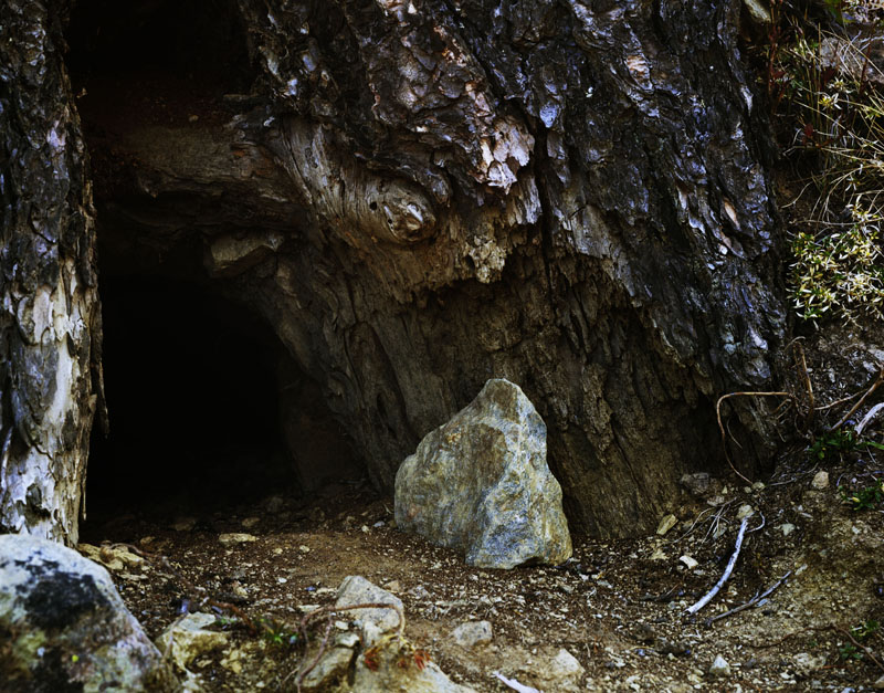 Rabbit Holes 004