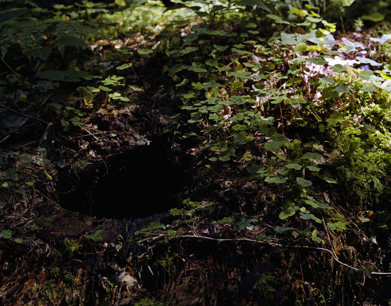 Rabbit Holes 008