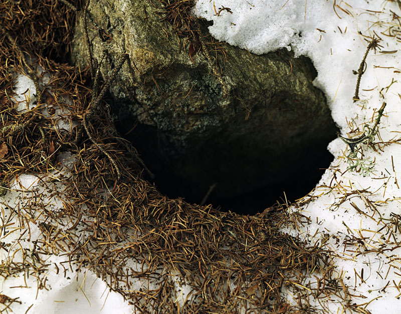 Rabbit Holes 010