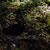 Rabbit Holes 008